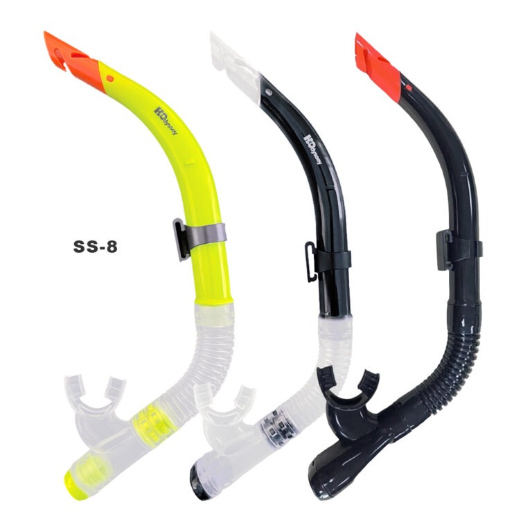 H2Odyssey - Snorkels - Cabo